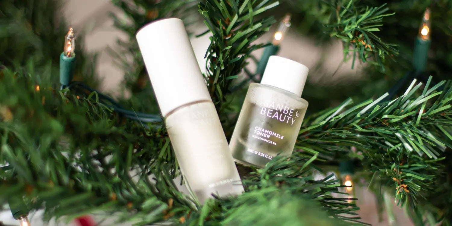 Christmas Gift Guide