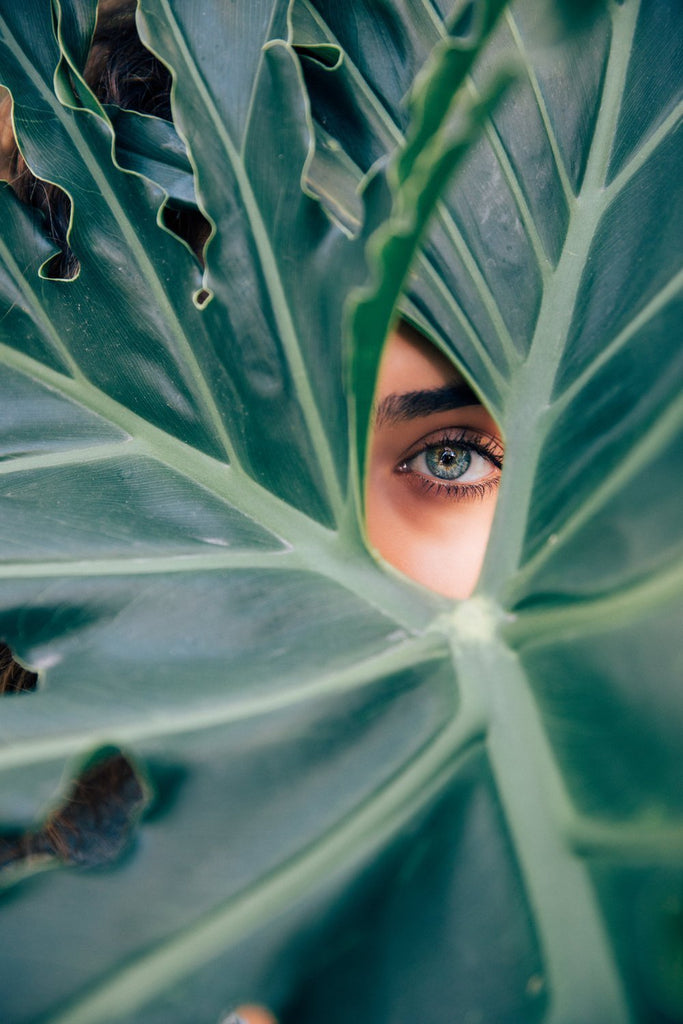 8 SkinCare Myths We Busted - Sanbe Beauty, LLC