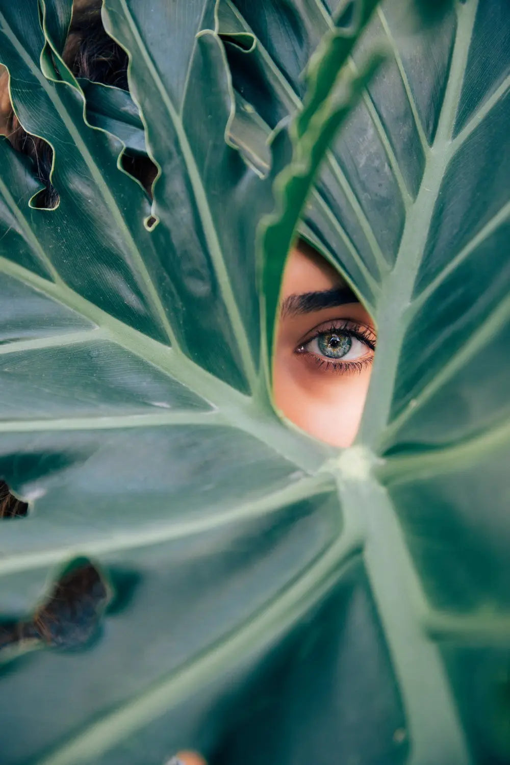 8 SkinCare Myths We Busted - Sanbe Beauty, LLC