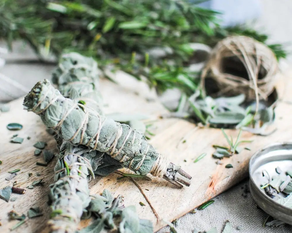 How To Cleanse Your Space With White Sage - Sanbe Beauty, LLC