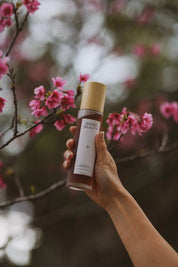 Chamomile Niacinamide Toner Calming, Pore Refining Sanbe Beauty