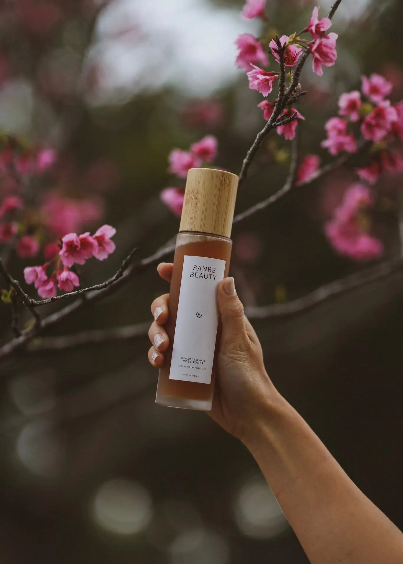 Hyaluronic Acid Toner Hydrating for Dry Skin Sanbe Beauty