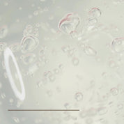 10% Niacinamide Serum